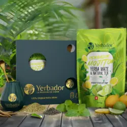3_MOJITTO_v3 (3)